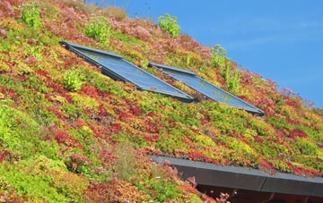 Castlethorpe living roof systems